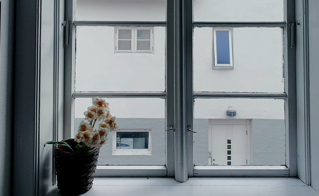 Maggots Infested Her London House. Reason: A Neighbour Dead For 2 Years