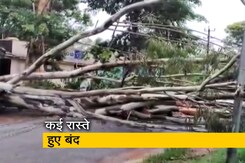 कर्नाटक के हासन जिले में भारी बारिश के चलते उखड़े पेड़, कई रास्ते हुए बंद कर्नाटक के हासन जिले में भारी बारिश के चलते उखड़े पेड़, कई रास्ते हुए बंद