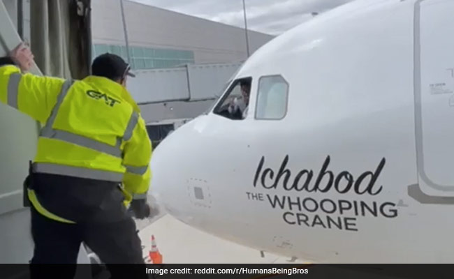 Woman Forgets Purse While Boarding Flight. Ground Crew Does The Unthinkable