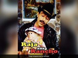 90 के दशक में टीवी पर मशहूर थी 'राजा और रैंचो' की जोड़ी, 'रैंचो' का तो पता नहीं लेकिन आज 'राजा दिखने लगा है ऐसा, पहचानना हो जाएगा मुश्किल 90 के दशक में टीवी पर मशहूर थी 'राजा और रैंचो' की जोड़ी, 'रैंचो' का तो पता नहीं लेकिन आज 'राजा दिखने लगा है ऐसा, पहचानना हो जाएगा मुश्किल