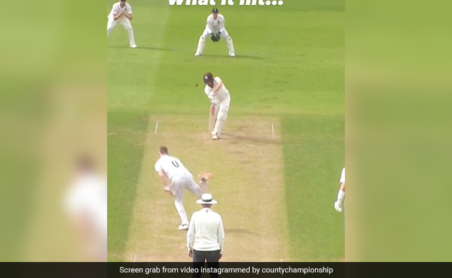 अजब-गजब ! बल्लेबाज हुआ बोल्ड लेकिन गेंद गई चौके के लिए, गेंदबाज चाह कर भी यकीन नहीं कर पा रहा- Video
