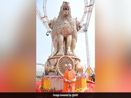 Opinion: The Menacing Lions Don't Do India Proud Opinion: The Menacing Lions Don't Do India Proud