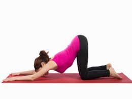 वर्किंग लेडीज़ बिना जिम गए इस एक्सरसाइज से belly Fat को कर सकती हैं कम वर्किंग लेडीज़ बिना जिम गए इस एक्सरसाइज से belly Fat को कर सकती हैं कम