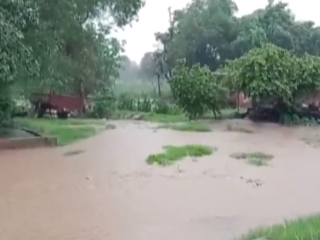 Homes In Gujarat District Flooded After Heavy Rainfall