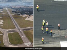 UK Heatwave: High Temperature Causes "Surface Defect" On Runway, Flights Delayed UK Heatwave: High Temperature Causes "Surface Defect" On Runway, Flights Delayed