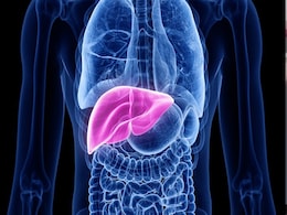 Foods For Liver: लीवर को क्लीन और मजबूत करने के लिए खाएं ये 5 गजब के फूड्स, Digestion पावर भी बढ़ेगी Foods For Liver: लीवर को क्लीन और मजबूत करने के लिए खाएं ये 5 गजब के फूड्स, Digestion पावर भी बढ़ेगी