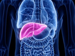 World Liver Day 2023: लिवर को रखना है हेल्दी तो अपने ब्रेकफास्ट में इन्हें खाने की आदत डाल लें, जानें इसके फायदे और रेसिपी World Liver Day 2023: लिवर को रखना है हेल्दी तो अपने ब्रेकफास्ट में इन्हें खाने की आदत डाल लें, जानें इसके फायदे और रेसिपी
