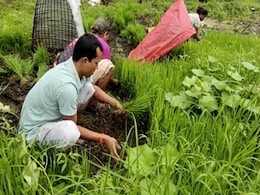 फसल वर्ष 2021-22 में खाद्यान्न उत्पादन रिकॉर्ड 31.57 करोड़ टन रहने का अनुमान फसल वर्ष 2021-22 में खाद्यान्न उत्पादन रिकॉर्ड 31.57 करोड़ टन रहने का अनुमान