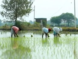 महाराष्ट्र : 2022 में मराठवाड़ा के 1,023 किसानों ने आत्महत्या की, विशेषज्ञों ने बताई वजह महाराष्ट्र : 2022 में मराठवाड़ा के 1,023 किसानों ने आत्महत्या की, विशेषज्ञों ने बताई वजह