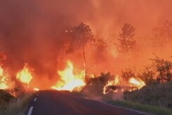Wildfires, Heatwaves And Soaring Temperatures: Europe's Hottest Summers Wildfires, Heatwaves And Soaring Temperatures: Europe's Hottest Summers