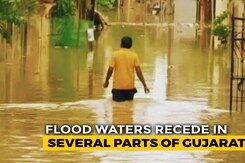 Flood Waters Recede In Several Parts Of Gujarat Flood Waters Recede In Several Parts Of Gujarat