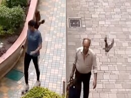 एंग्री बर्ड नहीं...यह है एंग्री क्रो, इस तरह लोगों पर कर रहा है अटैक, देखें VIDEO एंग्री बर्ड नहीं...यह है एंग्री क्रो, इस तरह लोगों पर कर रहा है अटैक, देखें VIDEO