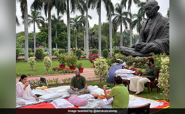 5 Suspended MPs Spend Night On Lawns In 50-Hour Protest In Parliament