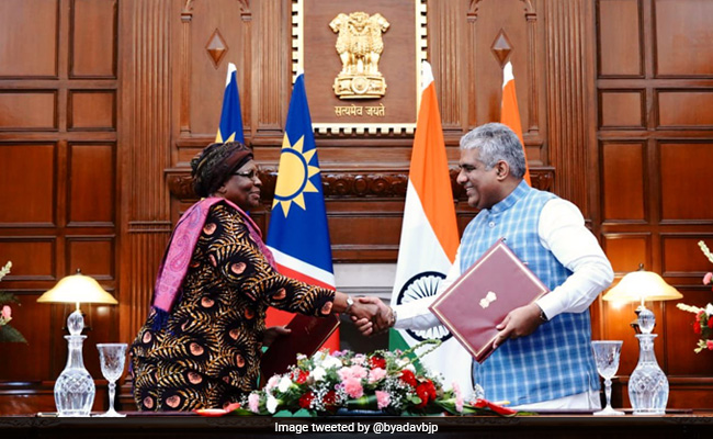 India-Namibia Sign Pact For Cheetah Restoration, 1st Batch To Arrive In August