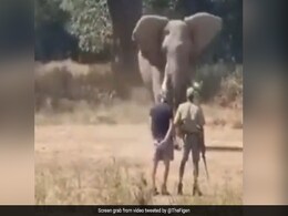 सामने से दौड़ता हुआ आ रहा था हाथी, फिर भी चुपचाप खड़े रहे दो शख्स, फिर जो हुआ, देख रह जाएंगे दंग सामने से दौड़ता हुआ आ रहा था हाथी, फिर भी चुपचाप खड़े रहे दो शख्स, फिर जो हुआ, देख रह जाएंगे दंग