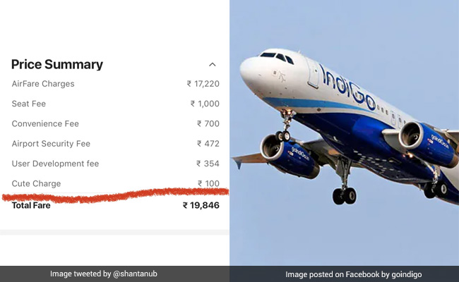 IndiGo Charges Passenger 'Cute Fee', Internet Jokes It Costs Rs 100
