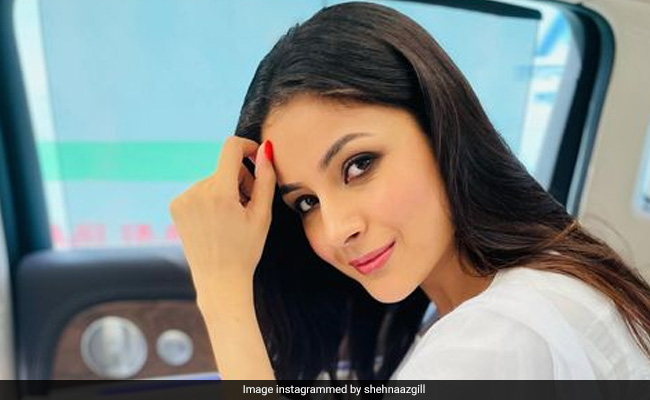 "Will Shehnaaz Gill Marry Me?": The Actress' LOL Reply To A Fan