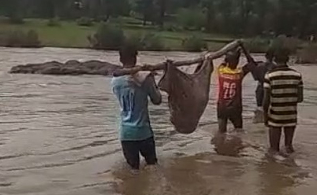 Video: Injured Woman Carried Through River In Maharashtra's Palghar