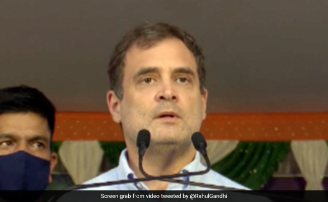 "King Afraid Of Questions": Rahul Gandhi's Latest Jibe At PM Narendra Modi