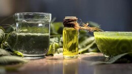 Monsoon Health Tips: How To Make Neem Tea To Prevent Seasonal Diseases