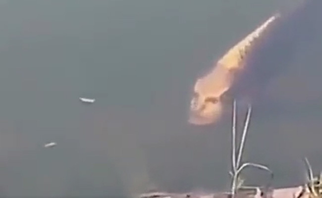 इंसानों वाली शक्ल देखकर हैरान हो रहें लोग, क्या ये मछली है या फिर कुछ और? देखें वीडियो