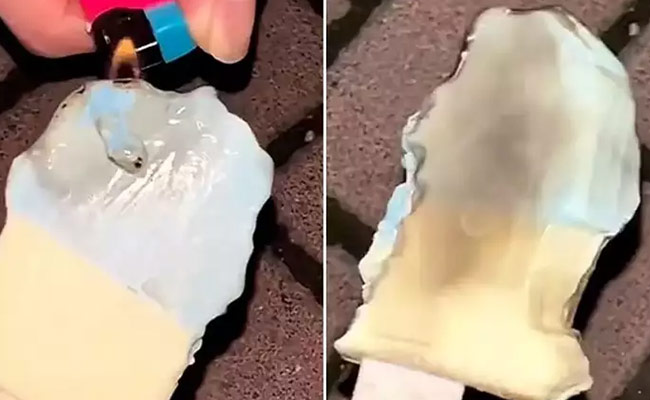 आग लगने के बावजूद भी नहीं पिघलती है ये आइसक्रीम, खाने में सबसे ज्यादा टेस्टी होती है