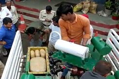 260 Kg Cannabis, Hidden In Electric Transformers, Seized In Madhya Pradesh 260 Kg Cannabis, Hidden In Electric Transformers, Seized In Madhya Pradesh