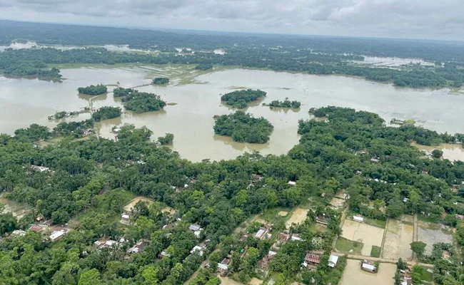 8 Dead, 82 Infected After Japanese Encephalitis Outbreak In Flood-Hit Assam