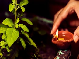 Tulsi: इन देवताओं को तो तुलसी नहीं चढ़ाते आप, जानें पूजा में क्या है इसका महत्व Tulsi: इन देवताओं को तो तुलसी नहीं चढ़ाते आप, जानें पूजा में क्या है इसका महत्व