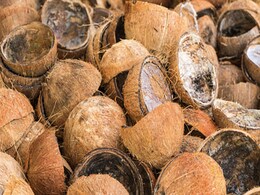 नारियल का खोल आता है कई तरह से काम, जानिए कैसे इन Coconut Shells का किया जा सकता है इस्तेमाल नारियल का खोल आता है कई तरह से काम, जानिए कैसे इन Coconut Shells का किया जा सकता है इस्तेमाल