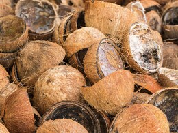 Coconut shell bowl DIY : नारियल पानी पीने के बाद ऐसे करें उसके शेल को रीयूज Coconut shell bowl DIY : नारियल पानी पीने के बाद ऐसे करें उसके शेल को रीयूज