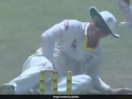 David Warner Cops An Unfortunate Blow, Twitter Can't Stop Laughing