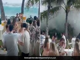 Caught On Camera: Giant Waves Crash Hawaii Island Wedding Caught On Camera: Giant Waves Crash Hawaii Island Wedding