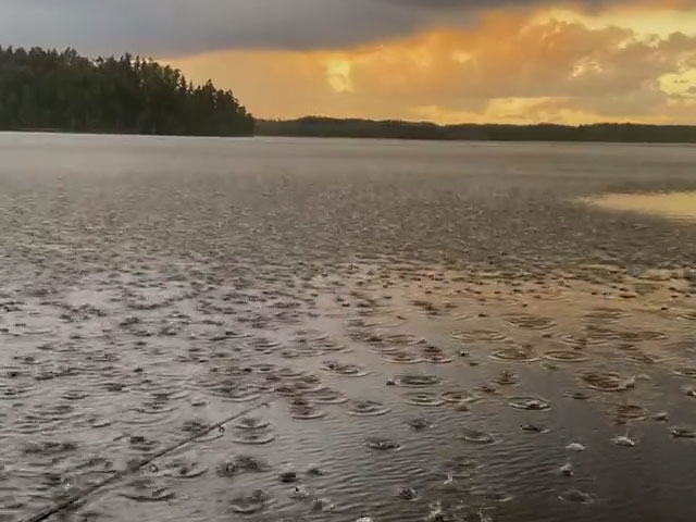 Viral Video Of Rain Rolling In Leaves Internet Amazed