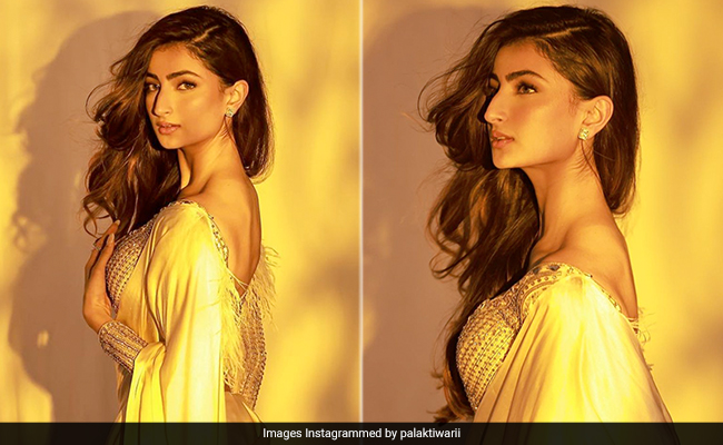 Golden Hour Is Obviously The Perfect Time For Palak Tiwari's Illuminating <i>Saree</i> Look