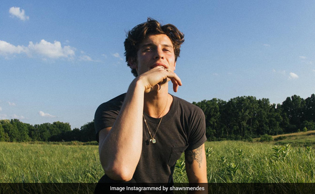 Singer Shawn Mendes Cancels World Tour. "Have To Put My Health As My First Priority," He Writes. Read His Statement