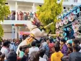 Video: These <i>Baaraatis</i> Were Having A Blast, Then The Horse Took Over Video: These <i>Baaraatis</i> Were Having A Blast, Then The Horse Took Over