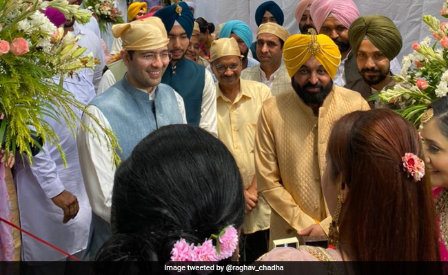 "Now I'll Also Marry Soon": Groomsman Raghav Chadha Says Bhagwant Mann Made "Wise Choice"
