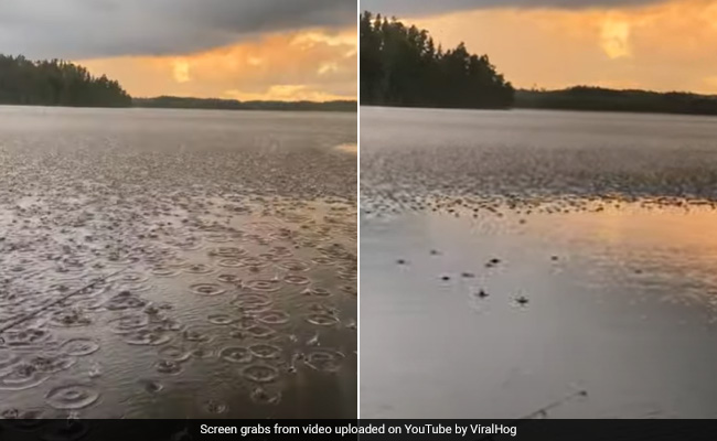 Viral Video Of Rain Rolling In Is The Most Satisfying Thing You'll See On Internet Today