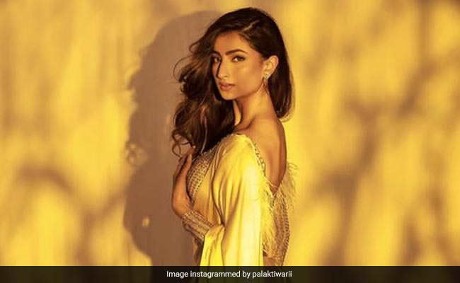 पलक तिवारी ने येलो साड़ी में शेयर की बेहद खूबसूरत फोटो, फैंस बोले- ड्रीम गर्ल