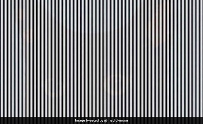 इस तस्वीर में छिपा है एक जानवर, फोटो की ओर देखते हुए अपने सिर को दो बार हिलाएं, मिलेगा सही जवाब