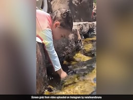 मछलियों को गिलास से पानी पिला रही थी छोटी बच्ची, Cute Video ने जीता लोगों का दिल, बोले- बच्चे मन के सच्चे मछलियों को गिलास से पानी पिला रही थी छोटी बच्ची, Cute Video ने जीता लोगों का दिल, बोले- बच्चे मन के सच्चे