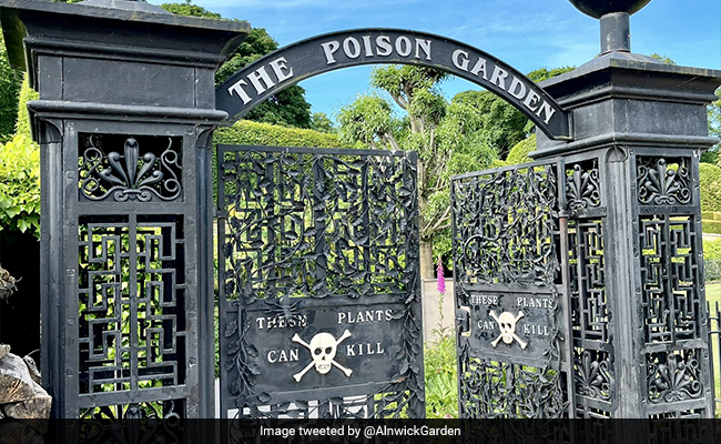 'World's Deadliest Garden' Has More Than 100 Dangerous Plants, Photo Viral