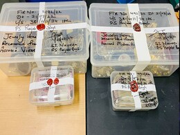 Domestic Help Arrested For Rs 10 Crore Robbery From Delhi House: Police Domestic Help Arrested For Rs 10 Crore Robbery From Delhi House: Police