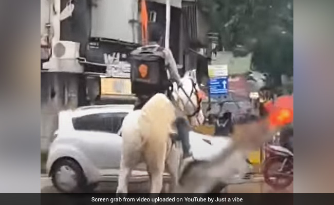 Swiggy Offers Reward For Information On Delivery Man On Horse