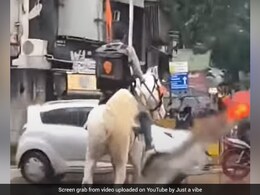Swiggy Delivery Agent Rides A Horse To Drop Off Food; Wins Internet