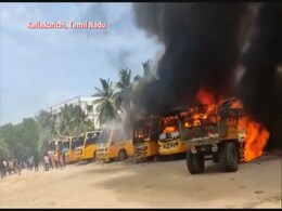 High Court Directs Police To Form Probe Team After Violence In Tamil Nadu High Court Directs Police To Form Probe Team After Violence In Tamil Nadu