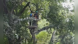 "Is There A Proposal To Cut More Trees In Aarey?": Top Court Asks Maharashtra