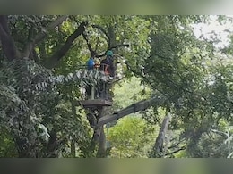 "Is There A Proposal To Cut More Trees In Aarey?": Top Court Asks Maharashtra "Is There A Proposal To Cut More Trees In Aarey?": Top Court Asks Maharashtra