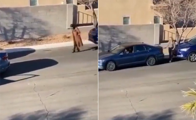 कार पार्क करने के लिए लड़की ने चलाया ऐसा दिमाग, Video देख चकरा जाएगा दिमाग